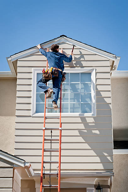 Demolition Debris Removal in Arbury Hills, IL